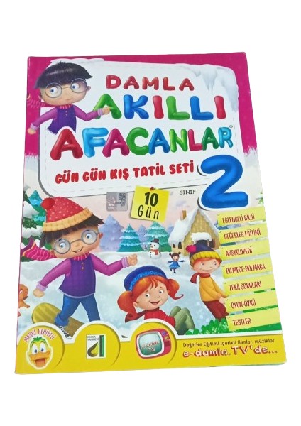 Akıllı Afacanlar 2. Sınıf Tatil Seti