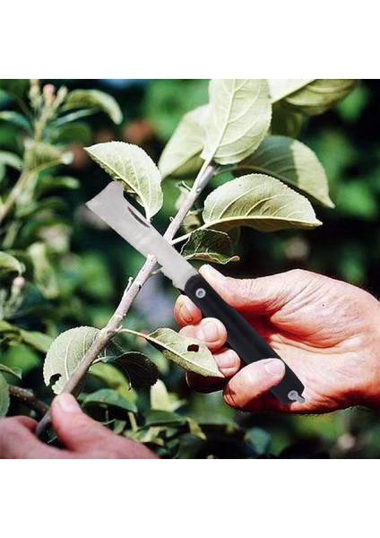 Plastik Saplı Bıçak Çakı Aşı Bıçağı Budama Çakısı 250 gr Aşı Macunu Aşı Bandı 4'lü Aşı Set