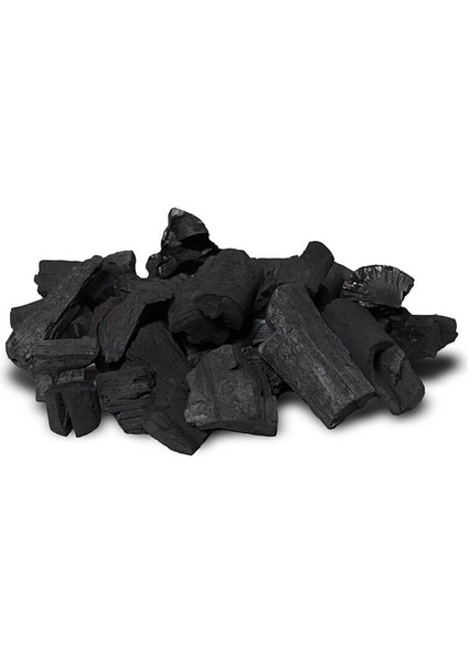 Galvanizli 33 Parça Mangal Şiş Seti + 2 kg Mangal Kömürü