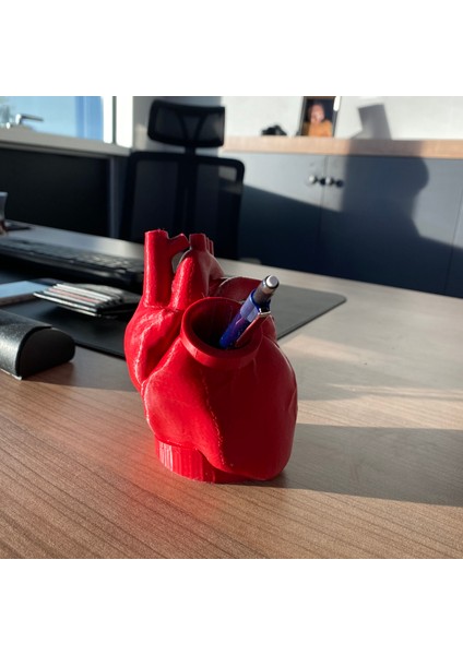 Kalp Şeklinde Kalemlik Fırçalık Organizer Anatomik Kalp Dekoratif Kalemlik Sevgili Hediye