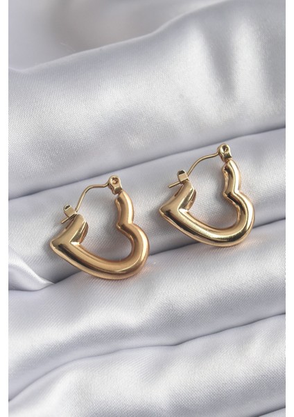 316L Çelik Gold Renk Kalp Model Kadın Küpe fiyatları