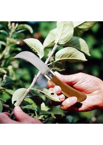 Plastik Saplı Bıçak Çakı Aşı Bıçağı Profesyonel Çelik Eğri Uçlu Bağ Ağaç Budama Aşı Çakısı 220 mm