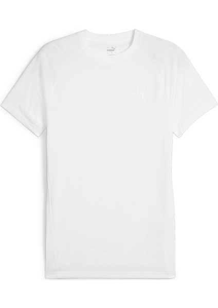 Evostripe Tee Erkek T-Shirt