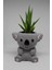 Cactus Garden Koala Saksı + Canlı Sukulent Bitki 2