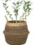 22X19CM Tarzı Yeni 1 Adet Katlanabilir El Yapımı Rattan Dokuma Çiçek Sepeti Seagrass Giyim Saklama Sepeti Ev Dekorasyon Çiçek Sepeti (Yurt Dışından) 3