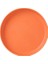 Shanhua Shop Orange Round Plate Style Plastic Plates Reusable ,unbreakable Sturdy Plastic Dinner Plates Bpa Free Dishwasher Safe For Home,kitchen,dinning, Outdoor Use (Yurt Dışından) 1