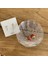 Çap 7.5cm Tarzı Yaratıcı Kabuk Tepsi Cam Saklama Tepsileri Küpe Yüzük Takı Teşhir Tepsileri Renk Paleti Fotoğraf Sahne Bandejas De Decor (Yurt Dışından) 4