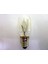 220-260V 6-10W 16X42MM. E10 Vidalı Tüp Ampul. 5 Ad. 1