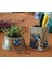 Denizci Saksı Kalemlik Set 5