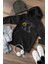 Unisex Siyah Oversize Lvbel C5 Doğuştan Beri Haklıyım Tmm Baskılı Kalın Pamuklu Hoodie 1