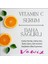 Vitamin C Serum 4