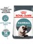 Hairball Tüy Yumağı Önleyici Yetişkin Kedi Maması 2kg 2