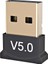 Bluetooth 5.0 Mini Dongle USB Alıcı 1