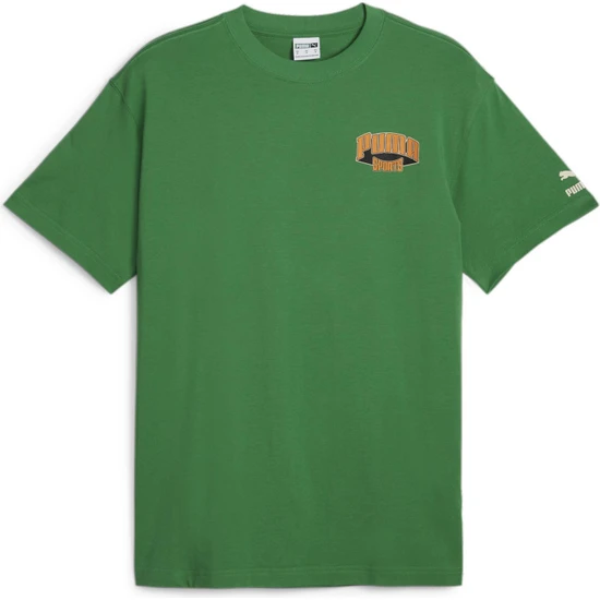Puma Team Graphic Tee Erkek T-Shirt
