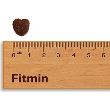 Fitmin For Life Adult Mini Ufak Irk Yetişkin Köpek Maması 12 kg