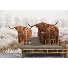 Harita Sepeti Iskoçya Sığırları Dekoratif Duvar KAĞIDI-1150