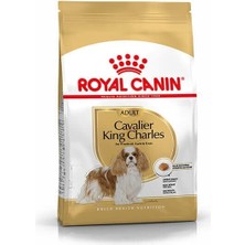 Royka Royal Canin Cavalier King Charles Yetişkin Köpek Maması 1.5 kg