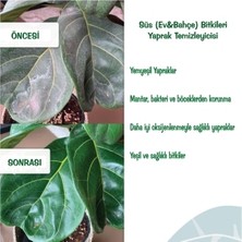 Dr. Worm Yaprak Temizleyici , Koruyucu ve Parlatıcısı Spreysiz Yedek Şişe