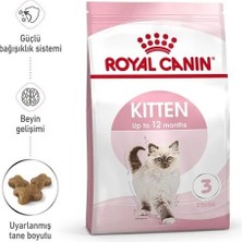 Royal Canin Kitten 36 Yavru Kedi Maması 2kg