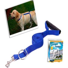 İnstant Köpek Yürüme Ve Eğitim Tasması