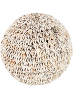 Laromita Decoration Top Kabuk Obje / Açık