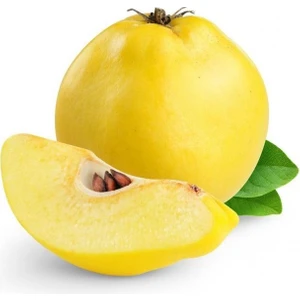 3 Yaş Aşılı Eşme Ayva Fidanı