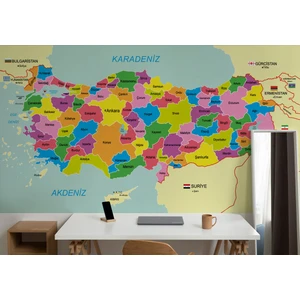 Harita Sepeti Türkiye Haritası Sınır Komşulu Eğitici Dekoratif Duvar Kağıdı-3085