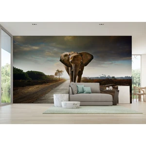 Harita Sepeti Yürüyen Fil Duvar Kağıdı - Posteri-3959