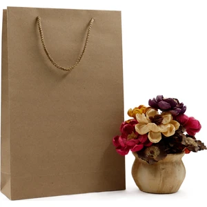 Repro Design Kraft Premium Karton Çanta 2 Adet  25 x 38 x 8 cm