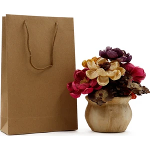Repro Design Kraft Premium Karton Çanta 2 Adet  17 x 27 x 7 cm