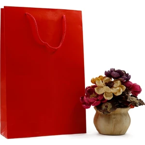 Kırmızı Premium Karton Çanta 25 x 38 x 8 cm 2 Adet Hediye Poşeti