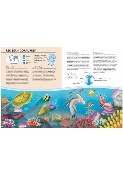 Atlas Of Biodiversity Oceans And Seas fiyatları