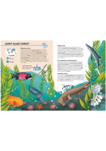 Atlas Of Biodiversity Oceans And Seas modelleri