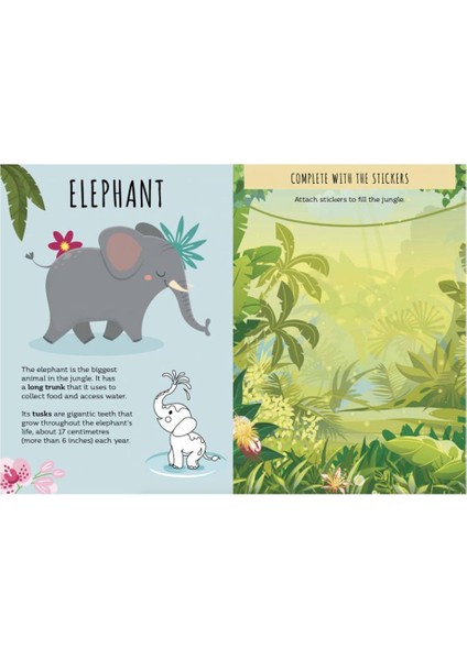 Mutlu Aileler - Kart Oyunu - Jungle modelleri