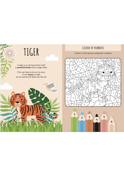 Mutlu Aileler - Kart Oyunu - Jungle fırsatları