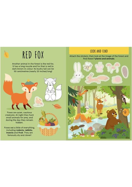 The Forest - Sticker and Activities - Irena Trevisan