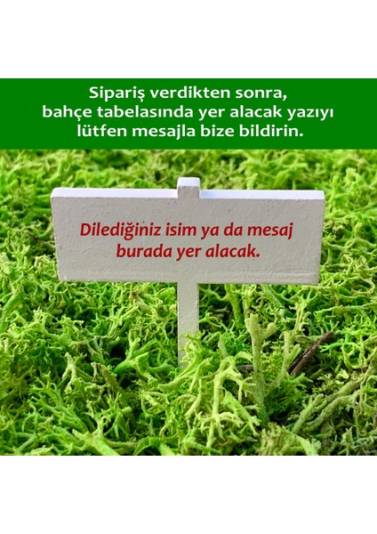 5 Nisan Avukatlar Günü Hediyesi - Luna Koleksiyonu