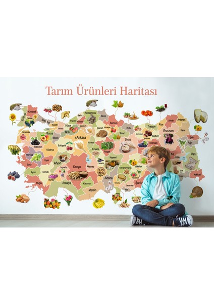 Tarım Ürünleri Yerli Malı Haftası Türkiye Haritası Duvar Kağıdı-1046 fırsatları