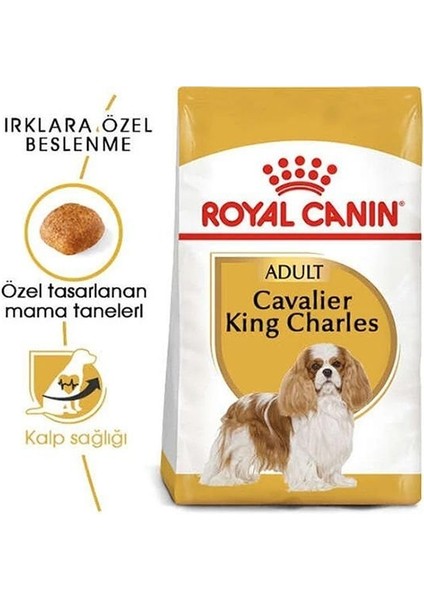 Royal Canin Cavalier King Charles Yetişkin Köpek Maması 1.5 kg