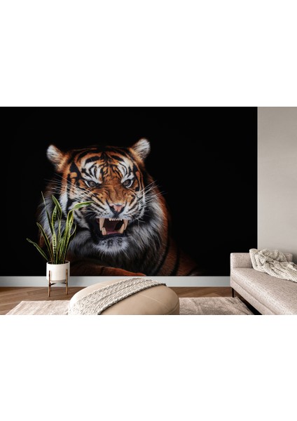 Vahşi Kaplan Duvar Kağıdı - Posteri-3960 fırsatları