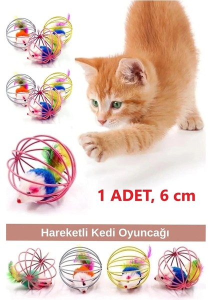 Tineke Kafesli Renkli Fareli Kedi Köpek Oyun Topu 6 cm