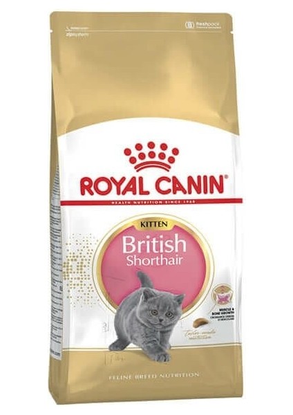 Royal Canin British Shorthair Kitten Yavru Kedi Maması 2 kg