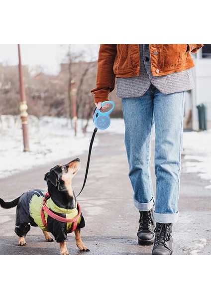 Milena Life Xs Beden Geri Çekilebilir Köpek Yürüyüş Tasması, Dolaşmayan Evcil Hayvan Yürüyüş Tasması 5mt