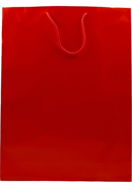 Kırmızı Premium Karton Çanta 35 x 45 x 9 cm Karton Poşet 2 Adet
