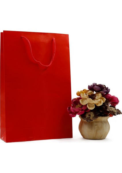 Kırmızı Premium Karton Çanta 25 x 38 x 8 cm 2 Adet Hediye Poşeti