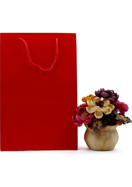 Kırmızı Premium Karton Çanta 25 x 38 x 8 cm 2 Adet Hediye Poşeti