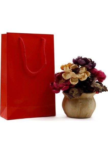 Kırmızı Premium Karton Çanta 17 x 27 x 7 cm 2 Adet Hediye Poşeti