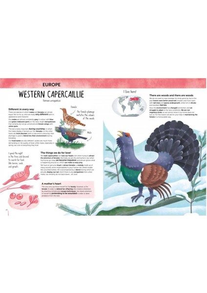 Atlas of Biodiversity Curious and Unusual Animals - Leonora Camusso