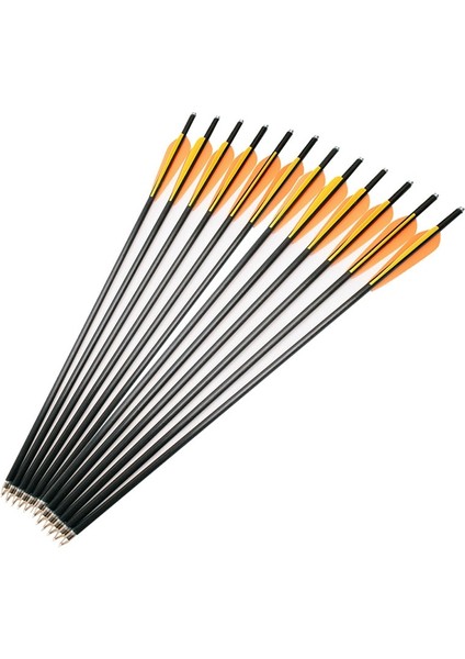 12 ADET18 Inç Tarzı Od8.8 Okçuluk Okları Inç Fiberglas Oklar Cam Elyaf Arbalet Cıvataları Avcılık 3" Tpu Kanatları (Yurt Dışından)