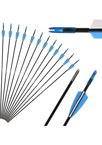 12 Adet Tarzı Okçuluk Fiberglas Ok Avcılık Olimpik Yay Için Hedef Oklar Sabit Oklar Ipuçları ile Geleneksel Uzun Yay (Yurt Dışından)